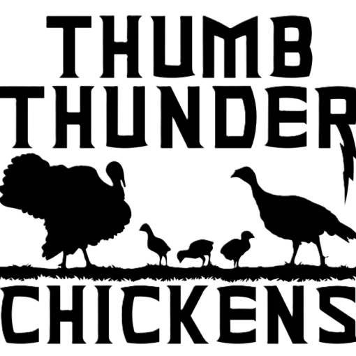 Thumb Thunder Chickens